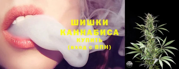 прущие грибы Мегион