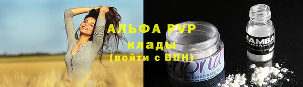 прущие грибы Мегион