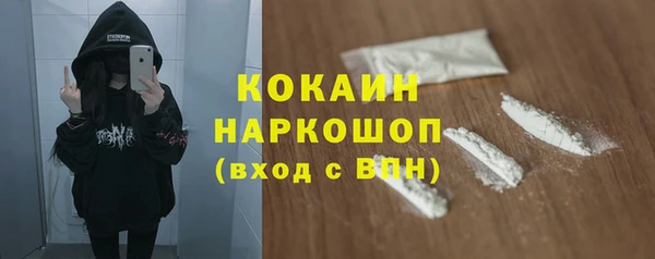 прущие грибы Мегион