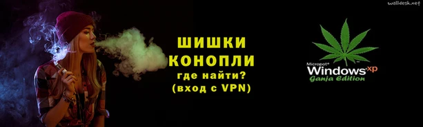прущие грибы Мегион