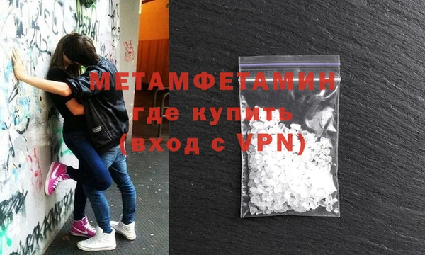 прущие грибы Мегион
