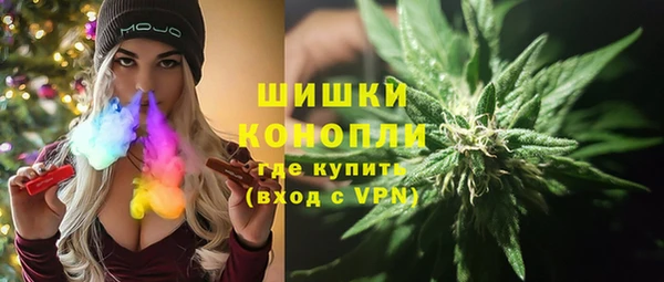 прущие грибы Мегион