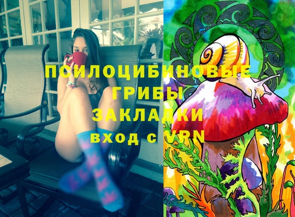 спиды Медвежьегорск